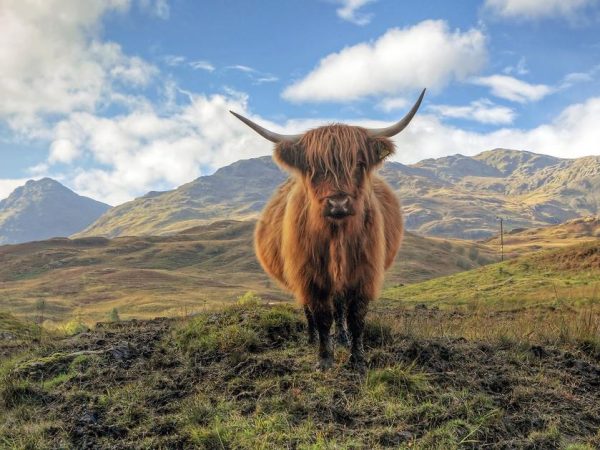 Scottish-tours-photo-1