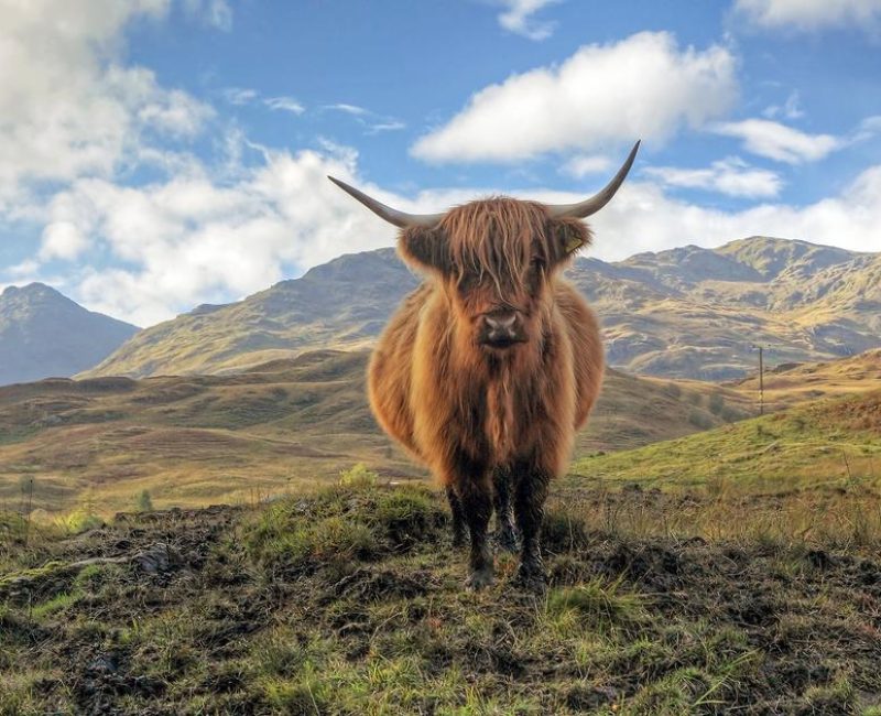 Scottish-tours-photo-1 Scottish-tours-photo-1